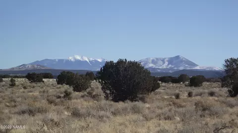 2902 E Wingfield Rd, Williams, AZ 86046