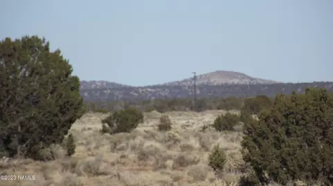 2902 E Wingfield Rd, Williams, AZ 86046 photo 6