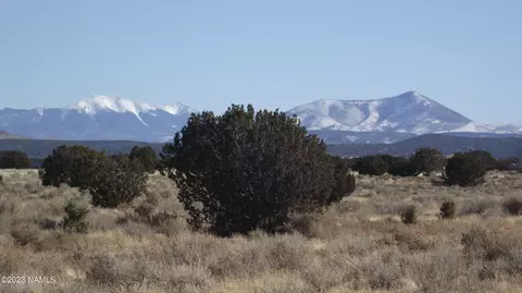 2902 E Wingfield Rd, Williams, AZ 86046 photo 7