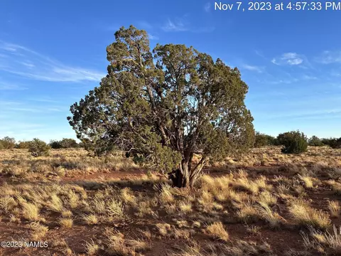 2794 S Alden Gln #39, Williams, AZ 86046