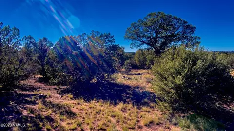 4808 Meadowbrook Dr, Williams, AZ 86046 photo 12