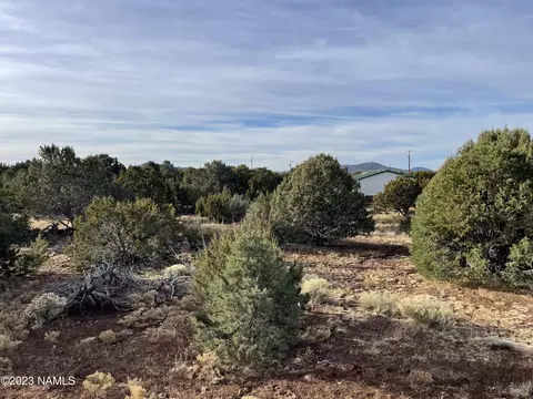 2314 E Starry Night Way #32, Williams, AZ 86046