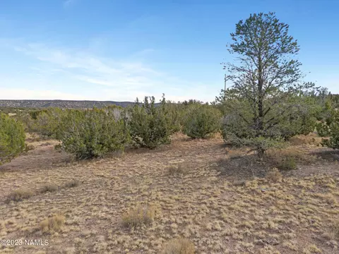 4637 Whitetail Loop, Williams, AZ 86046