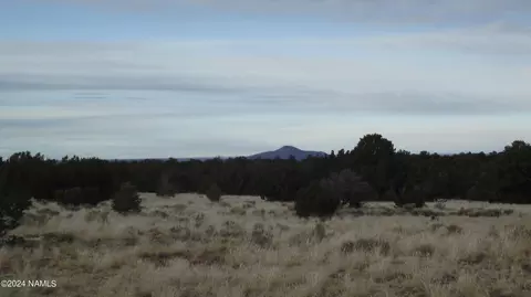 6883 Lasso Loop, Williams, AZ 86046 photo 12