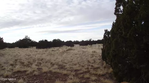 6883 Lasso Loop, Williams, AZ 86046 photo 9