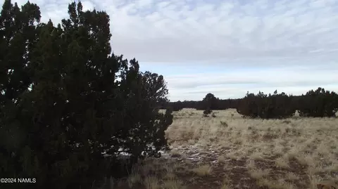 6883 Lasso Loop, Williams, AZ 86046 photo 2