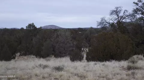 6883 Lasso Loop, Williams, AZ 86046 photo 7
