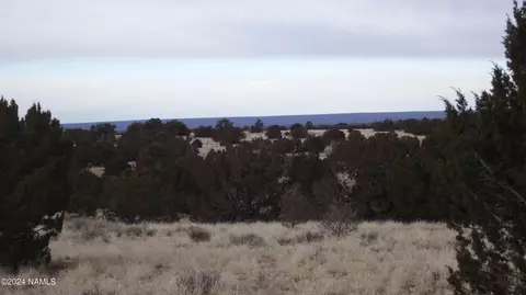 6883 Lasso Loop, Williams, AZ 86046 photo 6