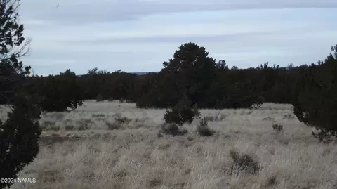 6883 Lasso Loop, Williams, AZ 86046 photo 5