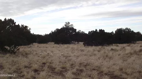 6883 Lasso Loop, Williams, AZ 86046 photo 8