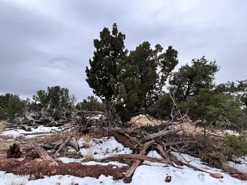 8027 Water Tank - Lot A Cir, Williams, AZ 86046
