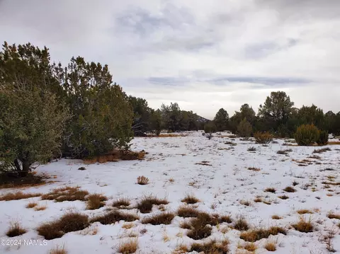 216 E Orchid Dr, Williams, AZ 86046 photo 3