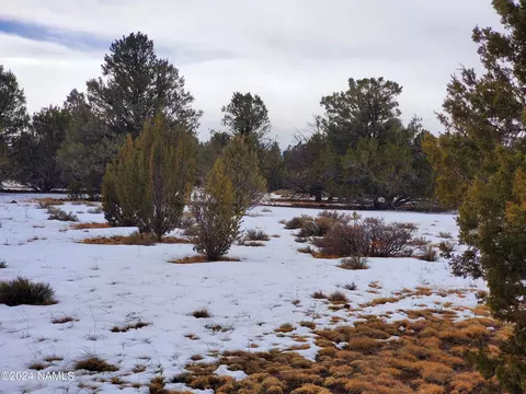 216 E Orchid Dr, Williams, AZ 86046 photo 8