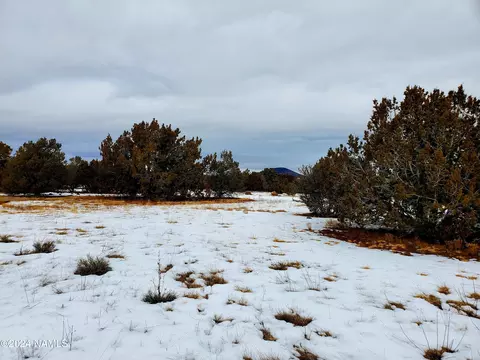 216 E Orchid Dr, Williams, AZ 86046 photo 10