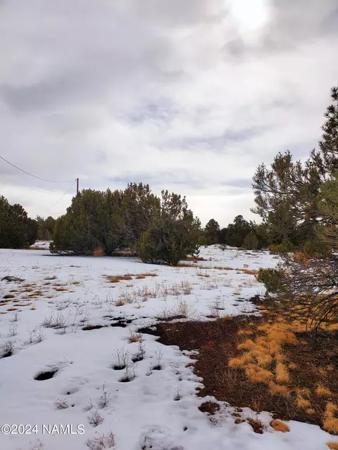 216 E Orchid Dr, Williams, AZ 86046 photo 5