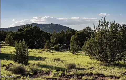 216 E Orchid Dr, Williams, AZ 86046 photo 2