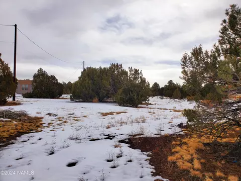 216 E Orchid Dr, Williams, AZ 86046 photo 4
