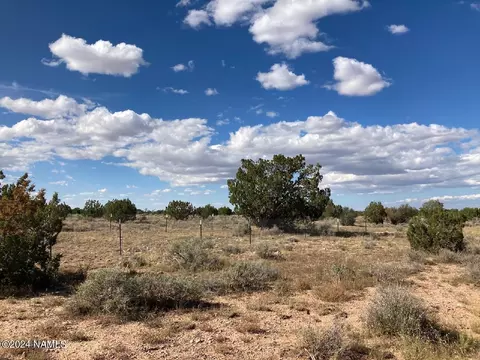8191 W Bright Sky Trl #987, Williams, AZ 86046