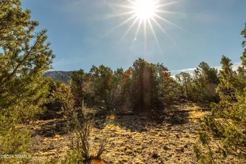 10443 N Covey Ln #22, Williams, AZ 86046