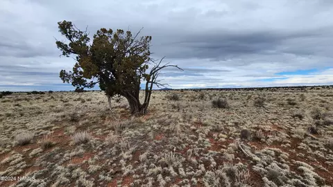 126 N Laguna Dr #LOT D, Williams, AZ 86046