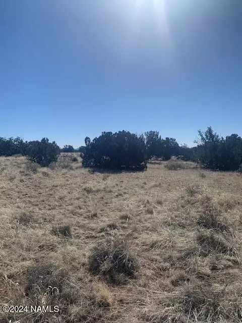 3602 E Lampe Ln #252, Williams, AZ 86046 photo 11