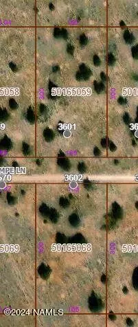3602 E Lampe Ln #252, Williams, AZ 86046 photo 4