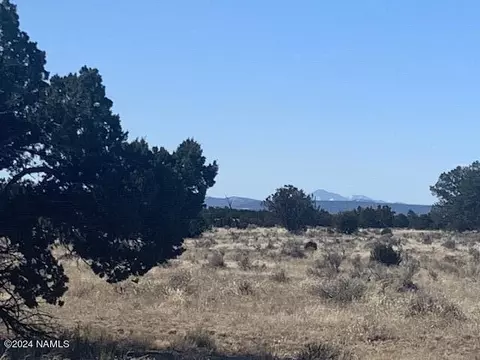 3602 E Lampe Ln #252, Williams, AZ 86046
