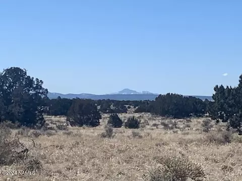 3602 E Lampe Ln #252, Williams, AZ 86046 photo 3
