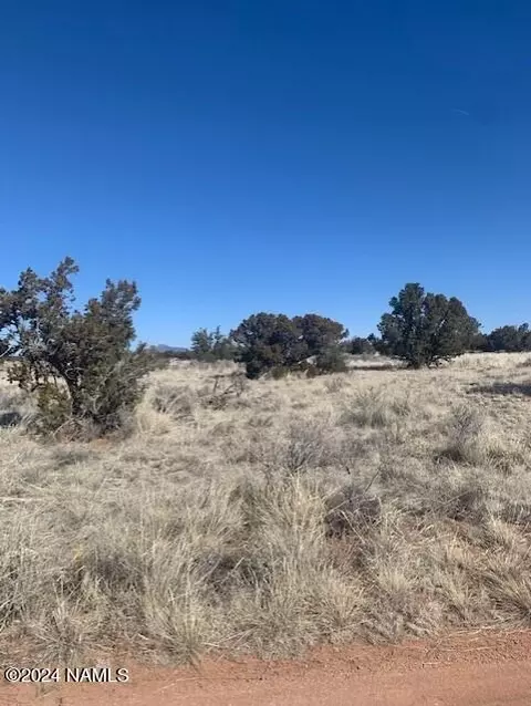 3602 E Lampe Ln #252, Williams, AZ 86046 photo 7
