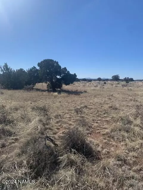 3602 E Lampe Ln #252, Williams, AZ 86046 photo 12