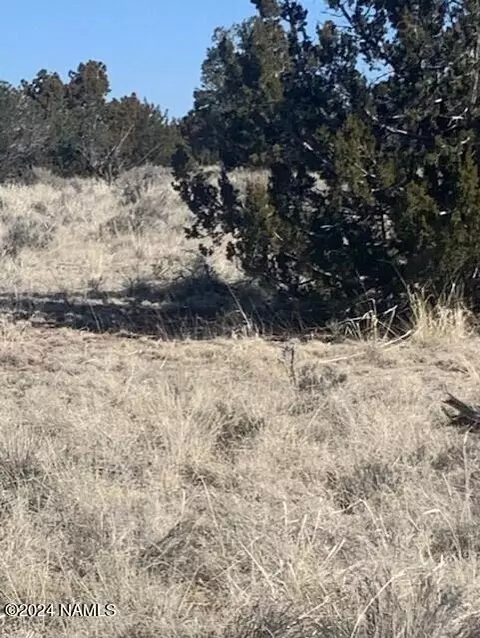 3602 E Lampe Ln #252, Williams, AZ 86046 photo 6