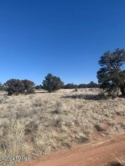 3602 E Lampe Ln #252, Williams, AZ 86046 photo 8