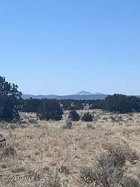 3602 E Lampe Ln #252, Williams, AZ 86046 photo 5