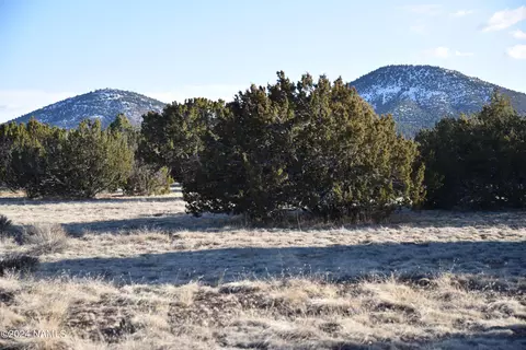 1311 E Utopia Trl #1, Williams, AZ 86046 photo 5