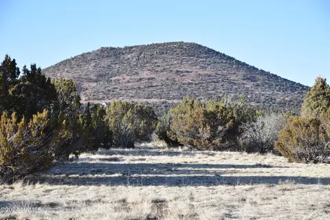 1311 E Utopia Trl #1, Williams, AZ 86046 photo 4
