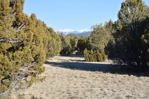 1311 E Utopia Trl #1, Williams, AZ 86046 photo 3