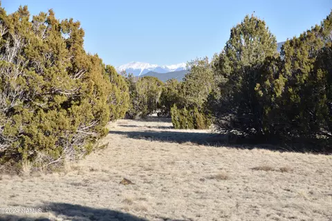 1311 E Utopia Trl #1, Williams, AZ 86046