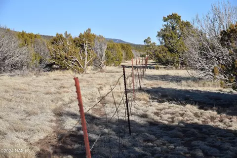 1311 E Utopia Trl #1, Williams, AZ 86046 photo 6