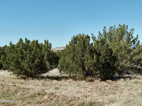 10529 S Mesa View Rd, Williams, AZ 86046