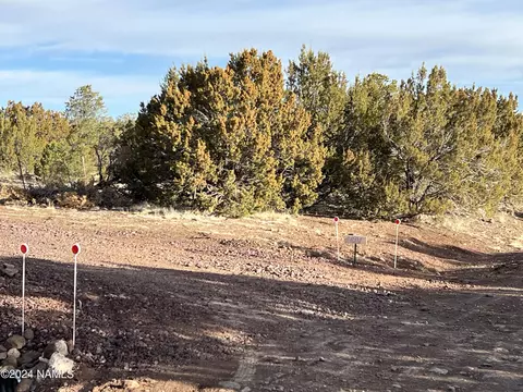 1301 E Forest Service 736, Williams, AZ 86046 photo 28