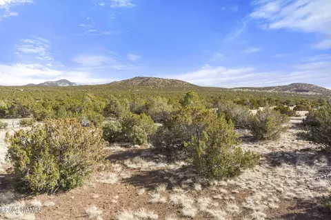 1301 E Forest Service 736, Williams, AZ 86046 photo 24