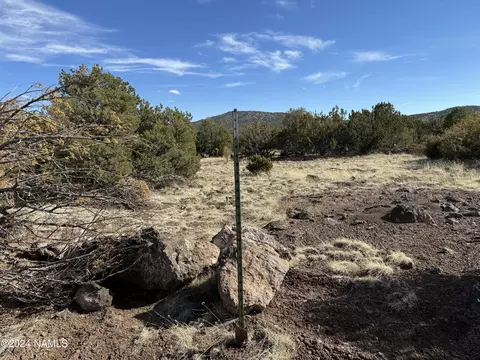 1301 E Forest Service 736, Williams, AZ 86046 photo 33