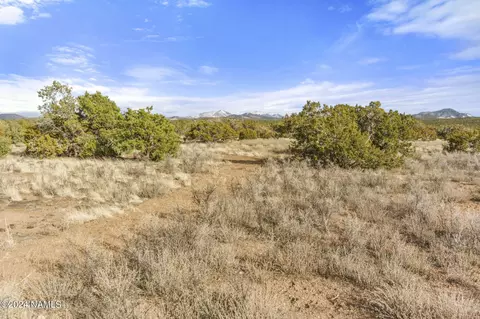 1301 E Forest Service 736, Williams, AZ 86046 photo 26