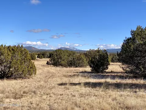 1441 E Alimos Way #137 138, Williams, AZ 86046