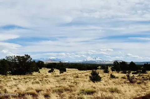9996 Bird Dog Cir, Williams, AZ 86046