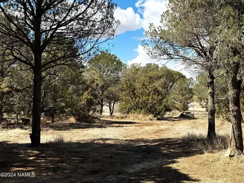 Exterior - 7155 Daisy Dr, Williams, AZ 86046 photo 3 of 5
