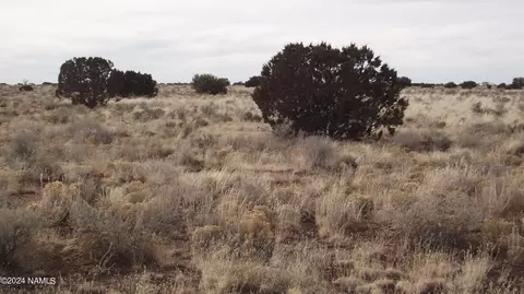 3732 S Avondale Rd, Williams, AZ 86046