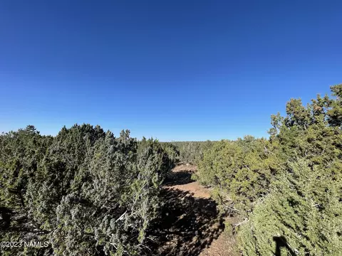 815 E Jackpine Ln #65, Williams, AZ 86046 photo 3