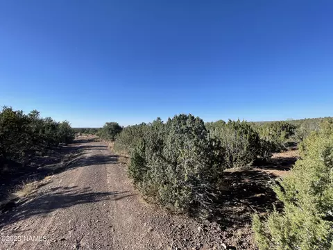 815 E Jackpine Ln #65, Williams, AZ 86046 photo 2