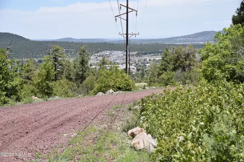 1663 Canyon View Loop #41, Williams, AZ 86046 photo 10